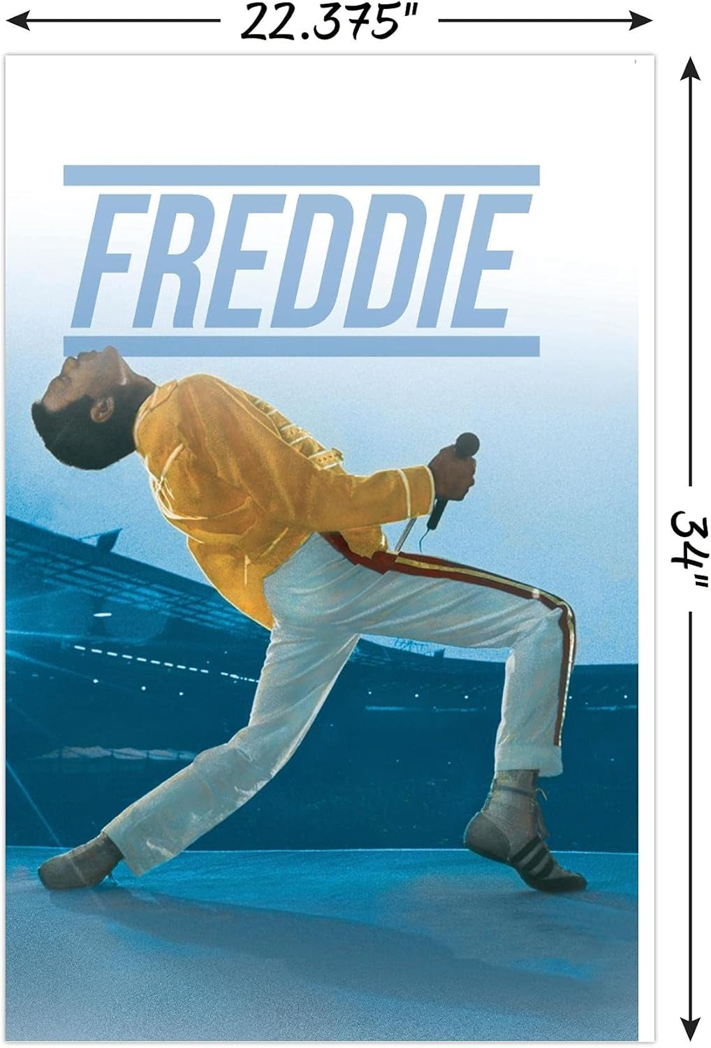 Queen - Freddie Mercury Live Wall Poster, 22.375" X 34", Unframed Version