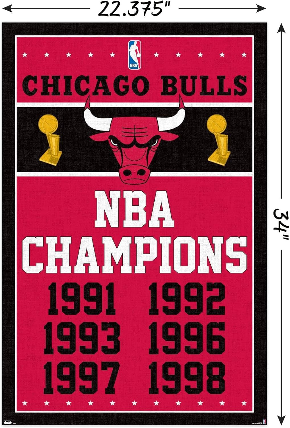 Chicago Bulls Champions Wall Poster 22.375" X 34"