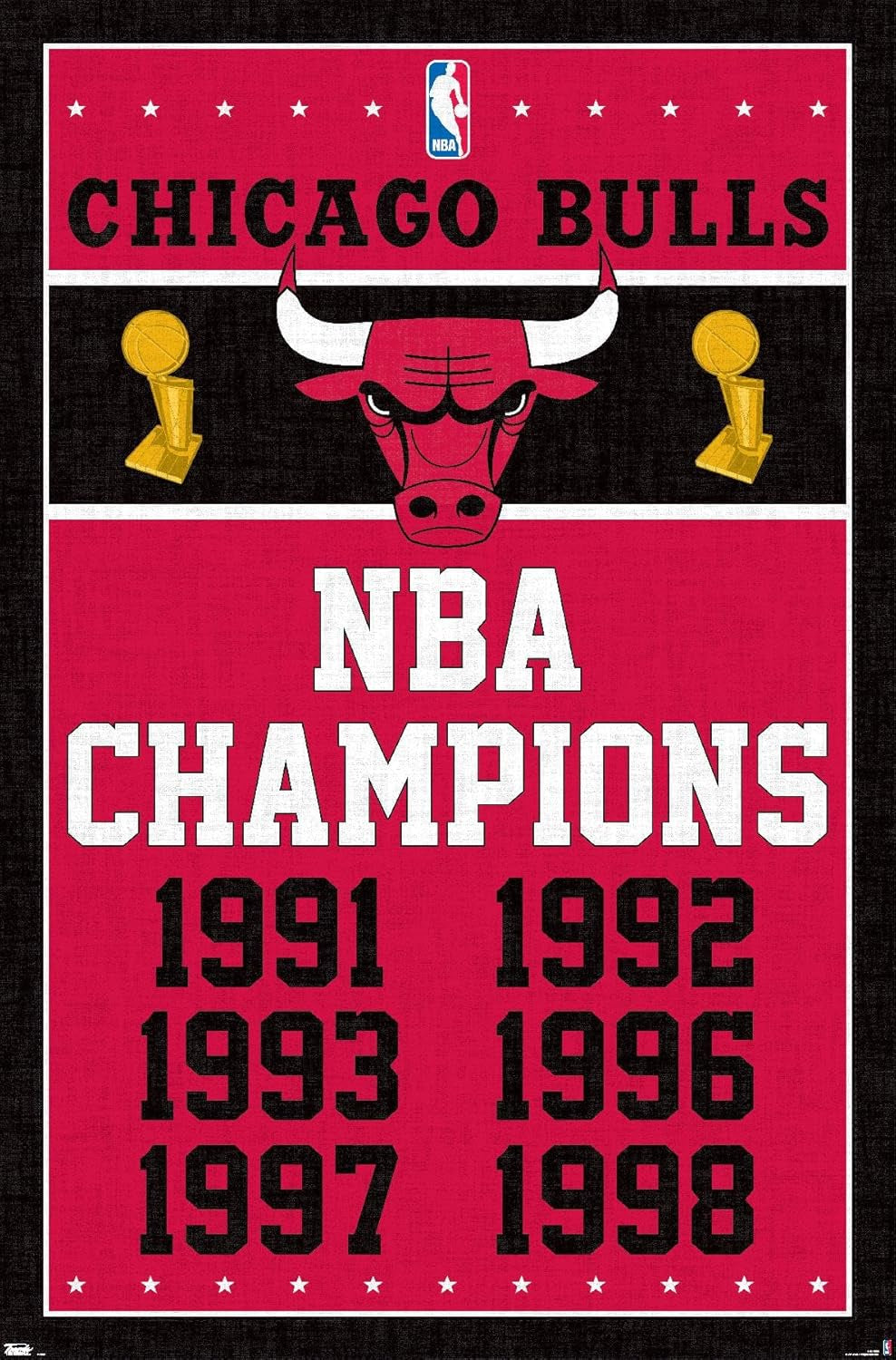 Chicago Bulls Champions Wall Poster 22.375" X 34"