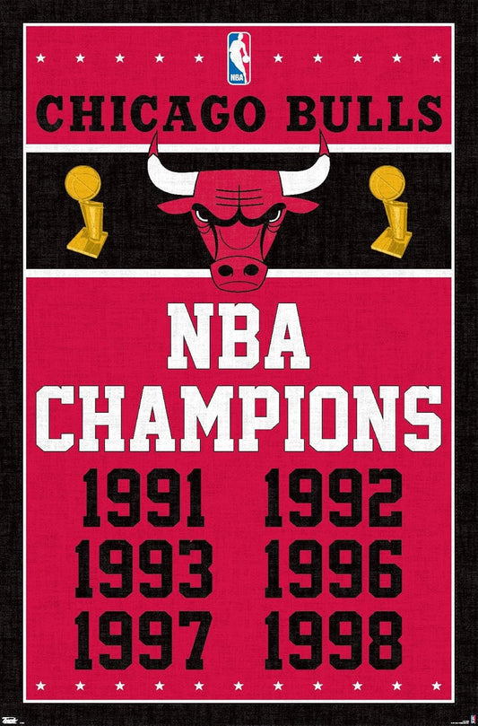 Chicago Bulls Champions Wall Poster 22.375" X 34"